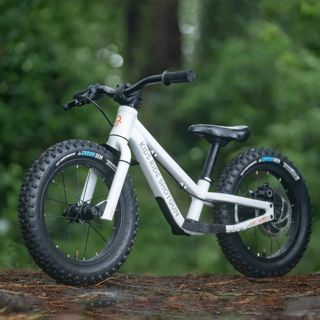 14 inch sales bicycle price
